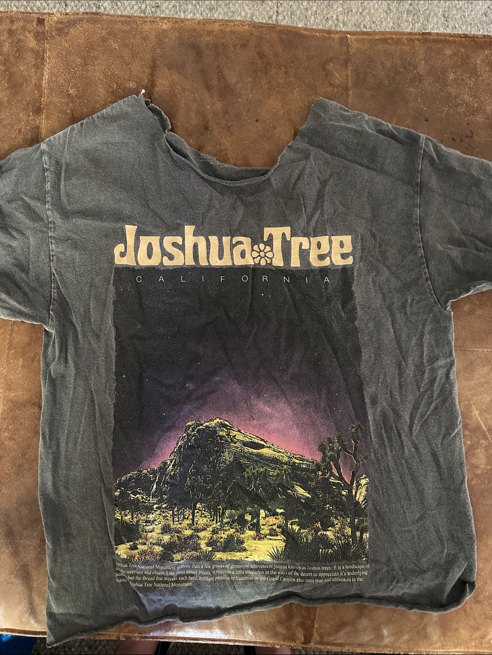 Vintage Joshua Tree Graphic Tee - Black with Purple Print